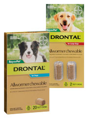 Drontal Allwormer for Dogs