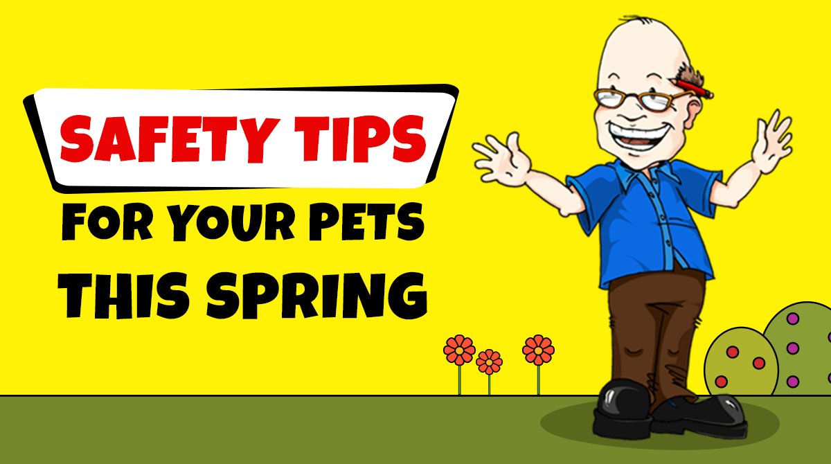Safety Tips for Your Pets this Spring Joe's Pet Meds