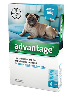 pet medications for less