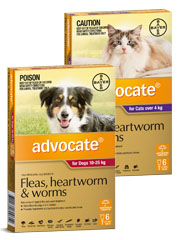 Advocate+for+Dogs+%26+Cats