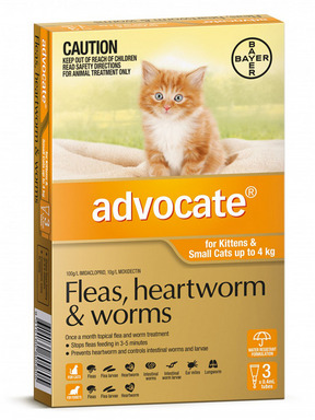 advocate flea treatment for cats