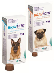 discount meds for dogs