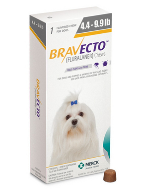 bravecto flea meds