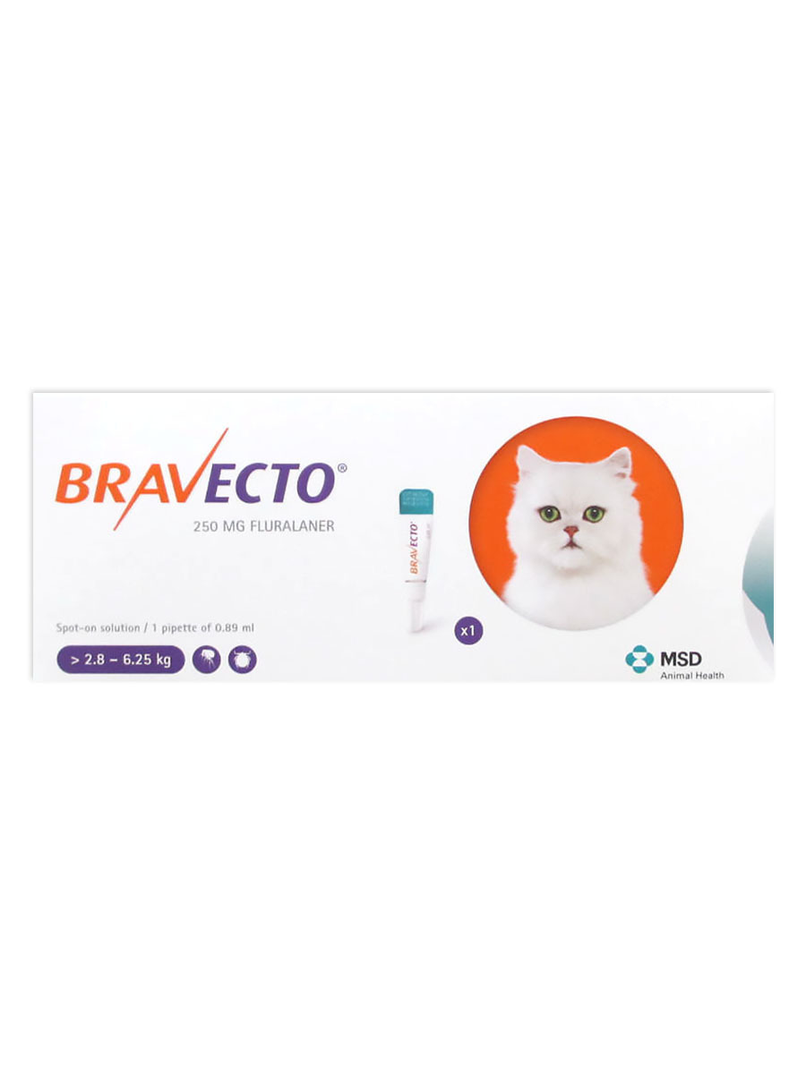 Bravecto Spot On for Cats at Joe's Pet Meds