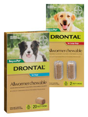 Drontal+Allwormer+for+Dogs