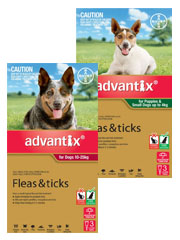 K9+Advantix