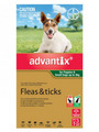 K9 Advantix