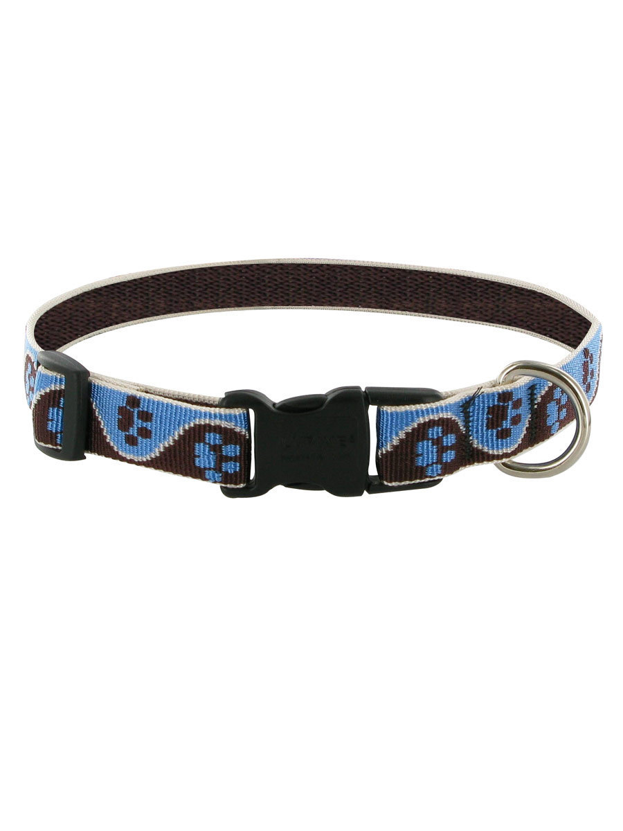 Lupine Muddy Paws Dog Collar at Joe's Pet Meds