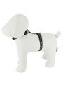 Lupine Silver Charm H-Style Harness