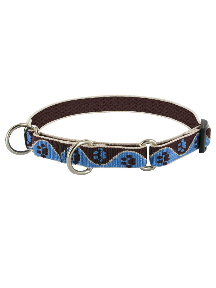 Lupine Muddy Paws Combo Collar at Joe's Pet Meds