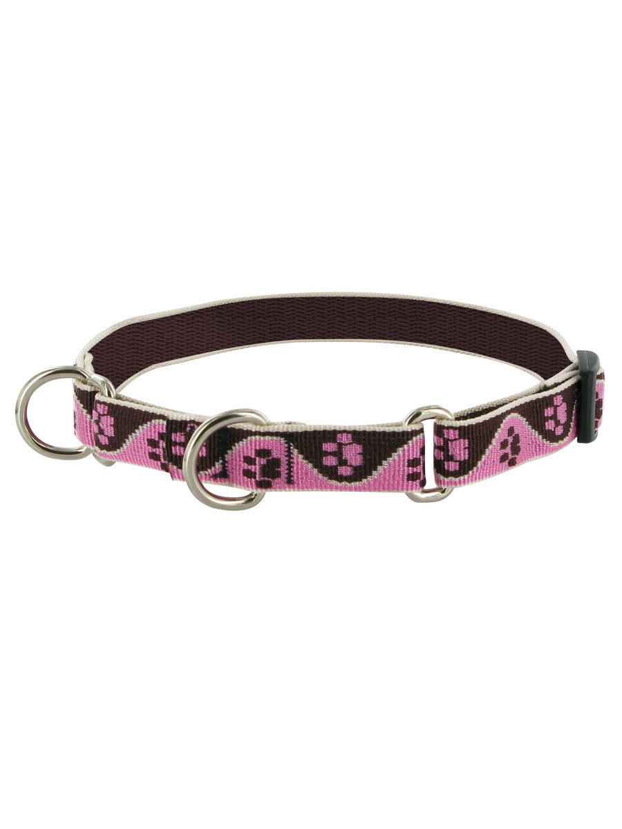 Lupine Tickled Pink Combo Collar at Joe's Pet Meds