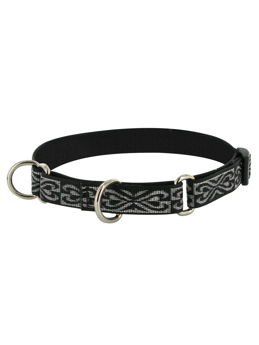 Lupine Silverado Combo Collar at Joe's Pet Meds