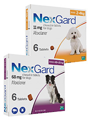 NexGard+%28afoxolaner%29+Chewables
