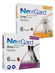 nexgard 6 chewables