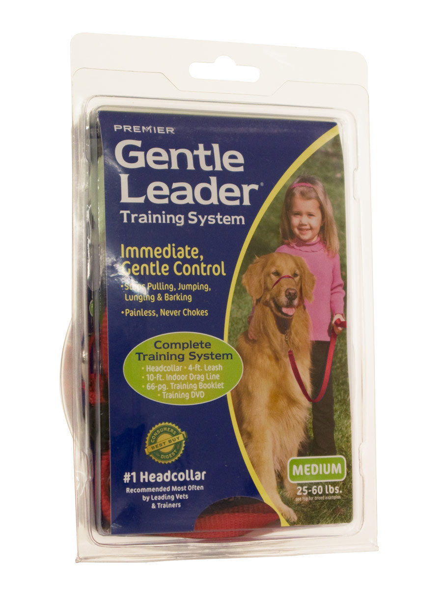 Premier Pet GL Headcollar with 4ft Leash, DVD, TB and 10ft Indoor DL at