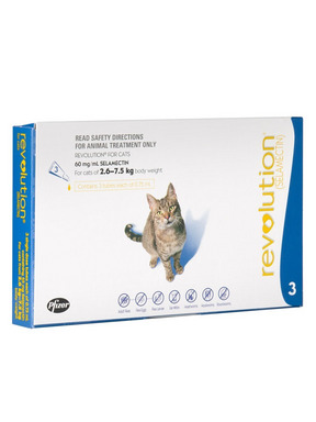 Revolution for Cats & Dogs