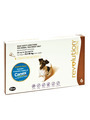 Revolution for Cats & Dogs