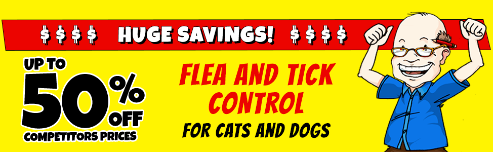 Category banner description