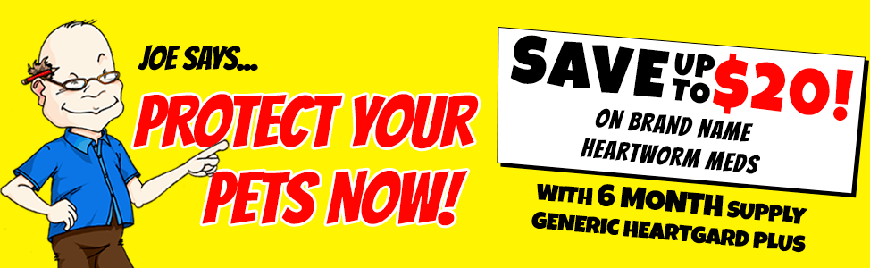 <p>Heartworm control is essential for keeping your pet healthy and protected from dangerous heartworm disease. Heartworms are parasitic worms transmitted through mosquito bites, which can lead to severe heart and lung damage if left untreated. As part of a comprehensive pet wellness routine, heartworm control involves using preventive medications that can stop heartworm larvae from developing into adult worms. These treatments, available in both oral and topical forms, should be administered regularly to ensure ongoing protection.</p>
<p>Effective heartworm control doesn't just prevent infection but also reduces the risk of costly veterinary treatments. Many pet owners trust heartworm prevention programs, which are recommended by veterinarians to keep pets safe year-round. Early detection is critical, so regular vet check-ups and heartworm testing are also part of responsible pet care. If you're looking for reliable heartworm prevention solutions, consult your veterinarian to choose the best treatment plan for your pet's needs.</p>
