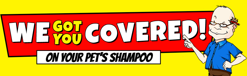 Category banner description