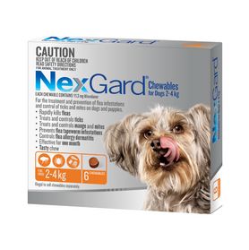 Nexgard for Dogs
